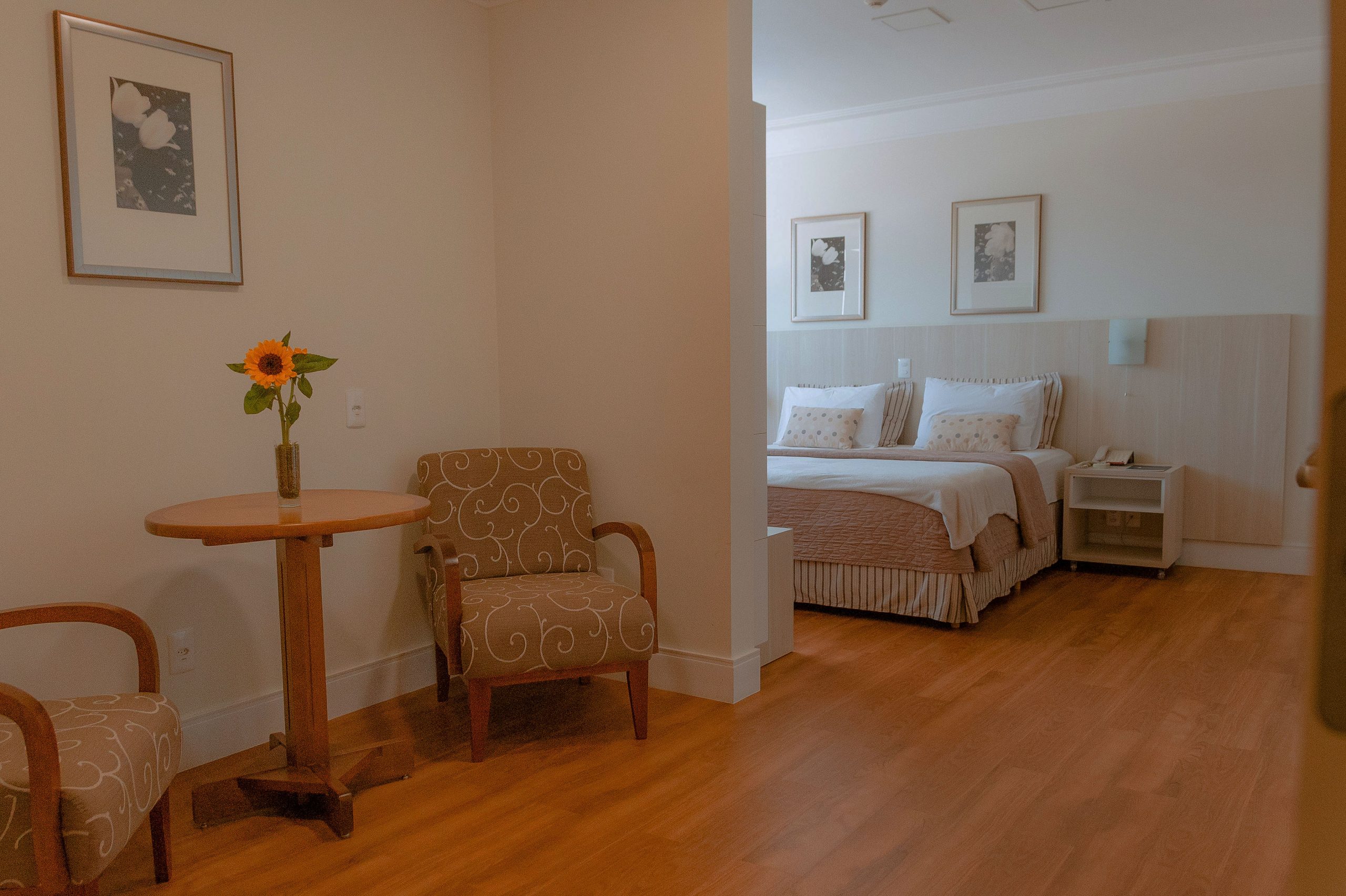  Quarto luxo no Porto Feliz Executive Hotel